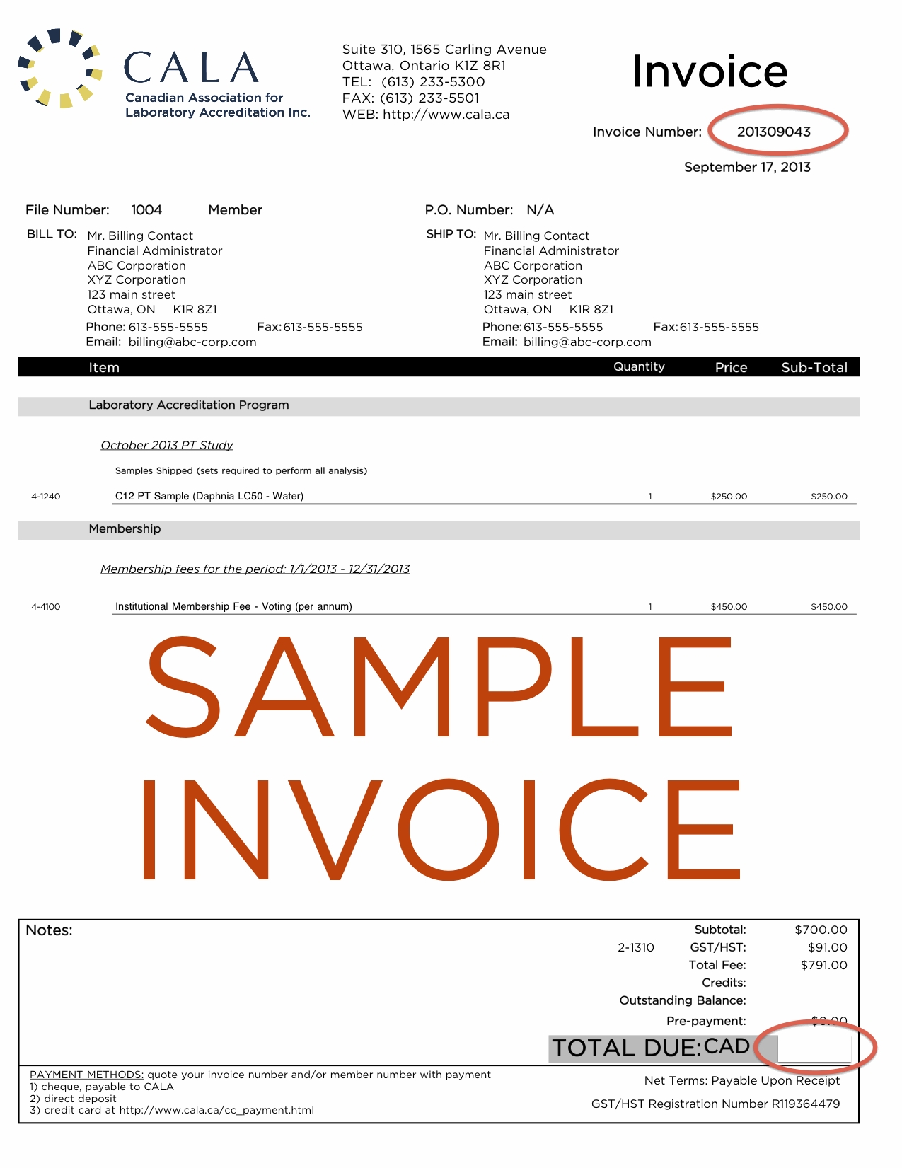 credit card invoice cala 1275 X 1651